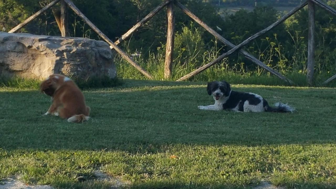 Agriturismo Countryhouse Le Giare Gubbio Dış mekan fotoğraf
